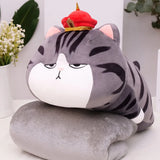 peluche-chat-coussin