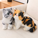 chaton-en-peluche